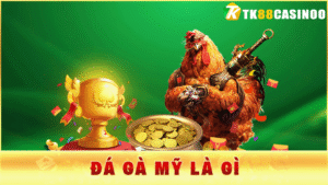 Đá Gà Mỹ Là Gì? Giới Thiệu Loại Hình Chọi Kê Hấp Dẫn