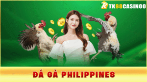 Đá Gà Philipines TK88 - Trải Nghiệm Xem Trực Tiếp Kịch Tính
