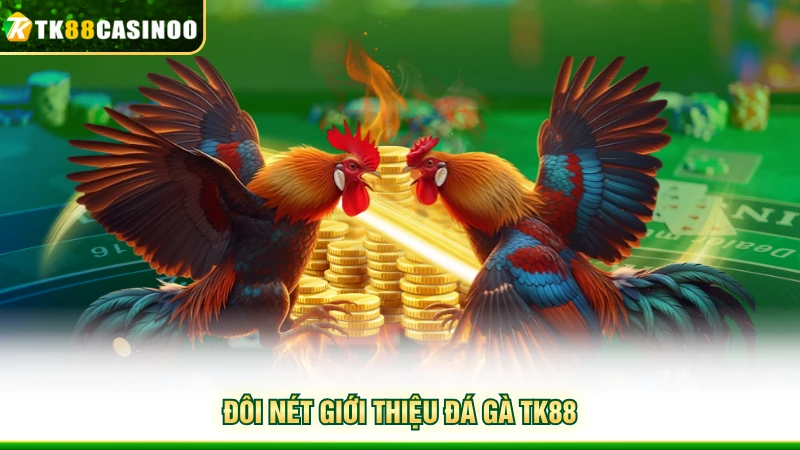Đá Gà TK88 - Mãn Nhãn Với Những Cuộc So Tài Đầy Hấp Dẫn 1 Đôi nét giới thiệu đá gà TK88