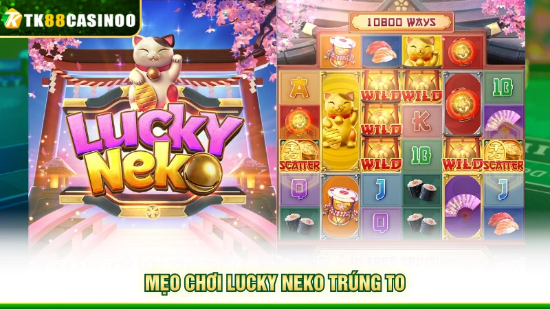 Lucky Neko TK88 - Khám Phá Game Mèo Thần Tài Hot Nhất 6 Mẹo chơi Lucky Neko trúng to