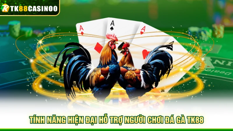 Đá Gà TK88 - Mãn Nhãn Với Những Cuộc So Tài Đầy Hấp Dẫn 4 Tính năng hiện đại hỗ trợ người chơi đá gà TK88