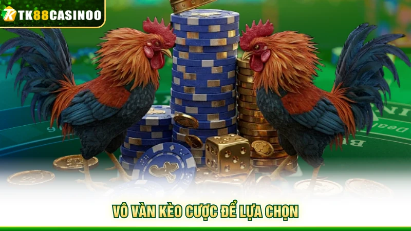 Đá Gà TK88 - Mãn Nhãn Với Những Cuộc So Tài Đầy Hấp Dẫn 6 Vô vàn kèo cược để lựa chọn